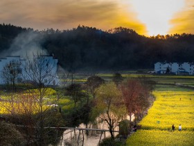 合資公司隱名股東顯名化判決的法律分析