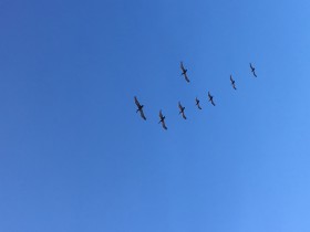 中概股回歸路徑全解析（下篇）——“私有化+直接IPO”和CDR