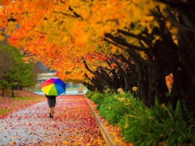 從“銀協懟基協”事件淺析私募基金托管人的職責邊界