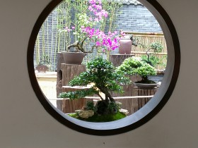 私募股權基金投資條款案例解析之一：私募基金的知情權