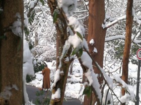 私募基金行業法律動態(2019年1月,總第13期)