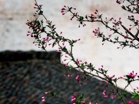 政府出資產業投資基金監管簡述