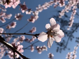 各地創投機構鼓勵和扶持政策匯總（下篇）——江浙粵篇
