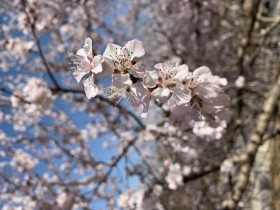 TMT行業法律動態（2019年第一季度/總第7期）