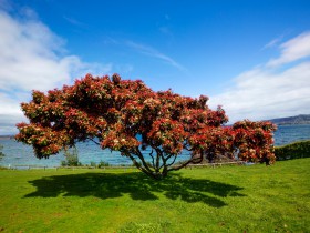 淺析有限合伙型私募基金份額代持