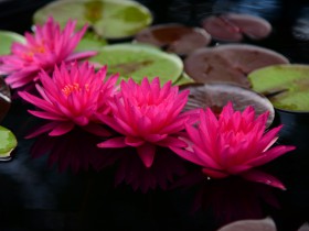 面對“二選一”脅迫,“格蘭仕”們如何維權?