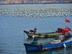 私募基金行業法律動態（2019年5月/總第16期）