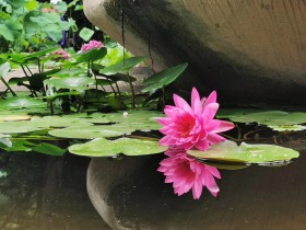 私募基金行業法律動態(2019年7月/總第18期)