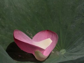 創新驅動的示范區誕生了，創投基金看過來！