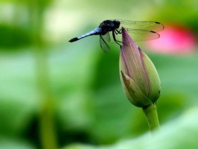 ZAO!怎樣合法收集使用個人信息,你“造”嗎?——淺析企業應如何制訂隱私政策