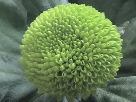 最高法院定調對賭協議的效力及履行