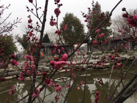 私募基金行業法律動態（2019年12月/總第23期）