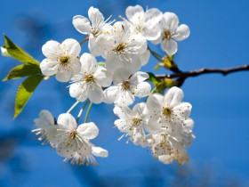 私募基金行業2019年度18個典型司法判例