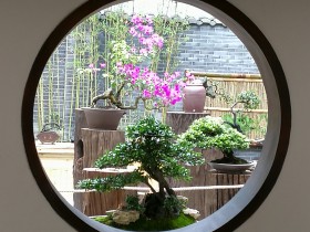 干貨〡案例解析運營在線教育、醫療、辦公所需資質