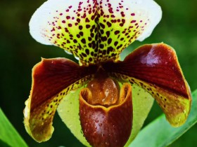 新規！創投基金減持上市公司股份又放寬了