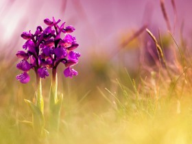 私募基金行業法律動態(2020年1-2月/總第24期)