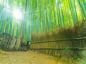 一文秒懂《網絡安全審查辦法》