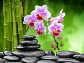 私募基金行業法律動態（2020年3月/總第25期）