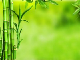 新冠疫情期間上海鼓勵外資政策匯總