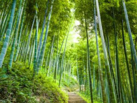 TMT行業法律動態(2020年第一季度/總第11期)