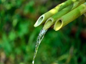 《民法典》對物業服務企業的影響簡述