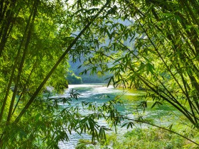 案例解析電商平臺經營者的責任邊界