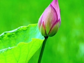 TMT行業法律動態(2020年第二季度/總第12期)