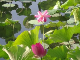 快評:最高法司法解釋規范電商知識產權保護