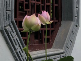 私募基金行業法律動態（2020年8月/總第30期）