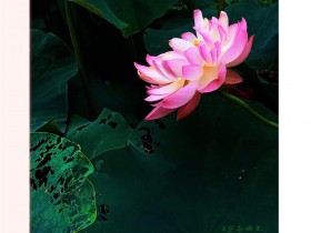 簡評騰訊訴數推虛假刷量不正當競爭案件判決