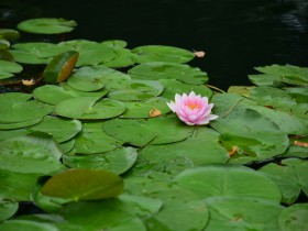 TMT行業法律動態(2020年第三季度/總第13期)