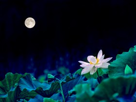 私募基金行業法律動態(2020年9月/總第31期)