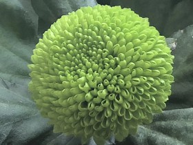 私募基金行業法律動態（2020年10月/總第32期）