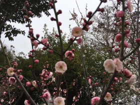 私募基金行業2020年度12個典型司法判例