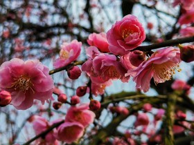 保險資金進行私募股權投資的法律盡職調查要點---基金管理人篇