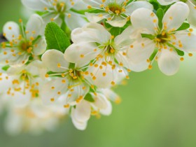 TMT行業法律動態(2020年第四季度/總第14期)