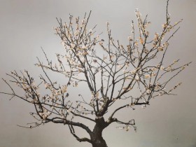 代言P2P的明星要還錢嗎？北京下發通知要求代言人配合清退