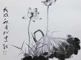 私募基金行業法律動態（2022年11月/總第57期）