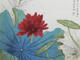 楊春寶律師代理的上海高院典型案例視頻講解